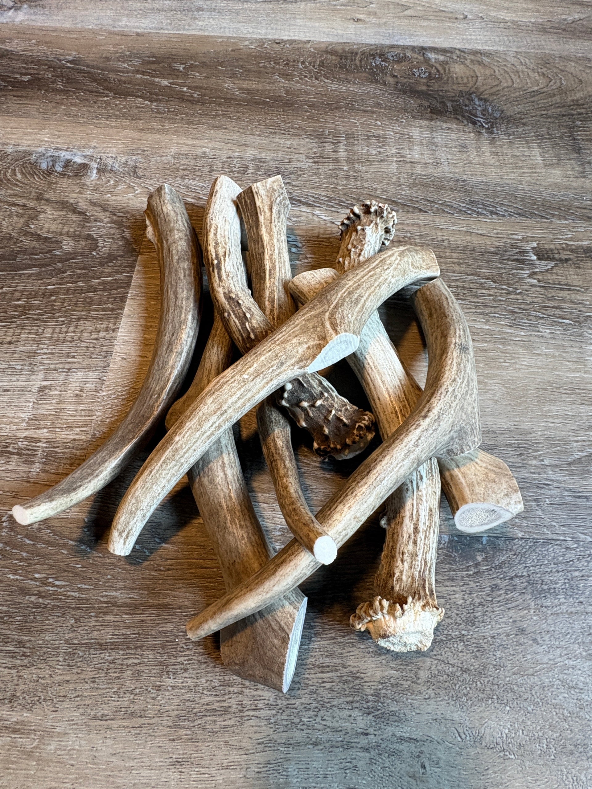Deer Antler Chews - Chomper chewz
