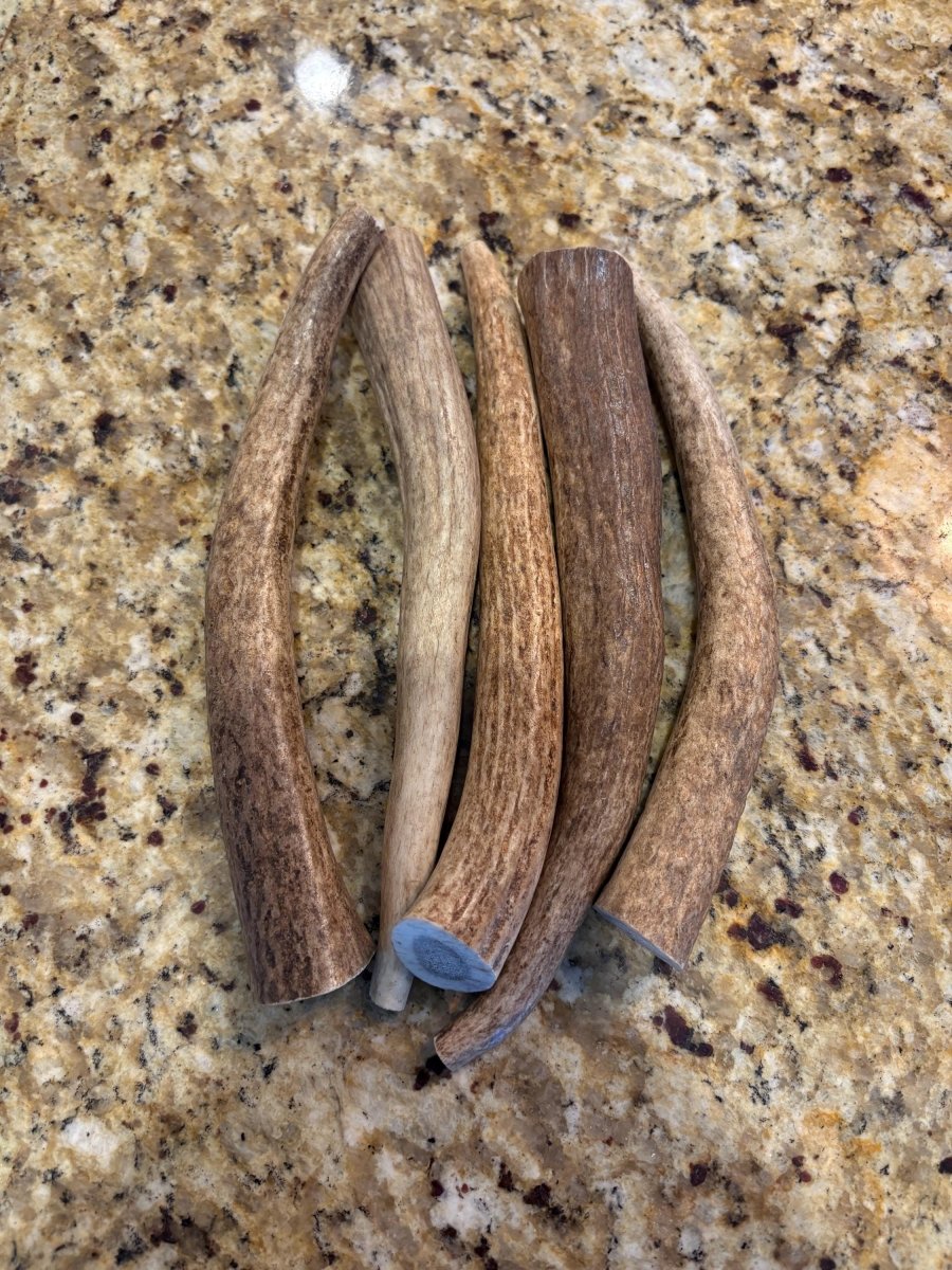 1 lb Elk Antler Dog Chews Bulk Naturally Shed, Long-Lasting, Single Ingredient, Assorted Sizes - Chomper chewz