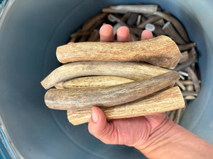 1 lb Elk Antler Dog Chews Bulk Naturally Shed, Long-Lasting, Single Ingredient, Assorted Sizes - Chomper chewz