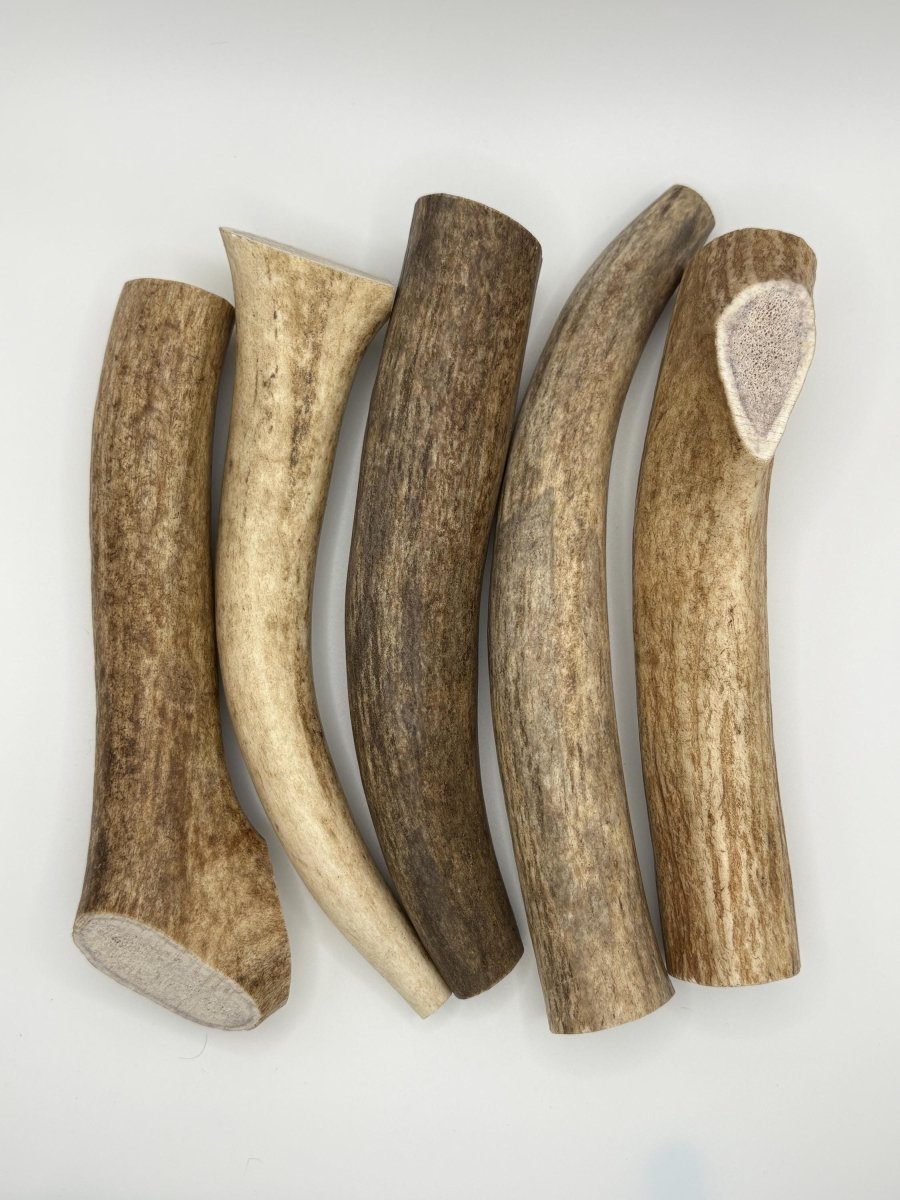1 lb Elk Antler Dog Chews Bulk Naturally Shed, Long-Lasting, Single Ingredient, Assorted Sizes - Chomper chewz