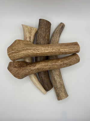 1 lb Elk Antler Dog Chews Bulk Naturally Shed, Long-Lasting, Single Ingredient, Assorted Sizes - Chomper chewz