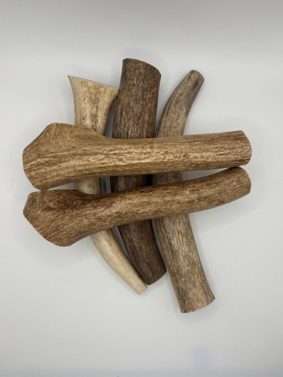 1 lb Elk Antler Dog Chews Bulk Naturally Shed, Long-Lasting, Single Ingredient, Assorted Sizes - Chomper chewz