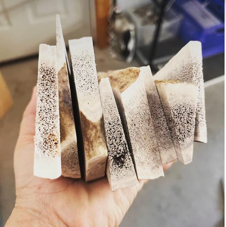1 lb Elk Antler Wafers for Dogs Naturally Shed Sliced Antler Chews, Marrow Exposed, Long Lasting Dental Treat for All Sizes - Chomper chewz