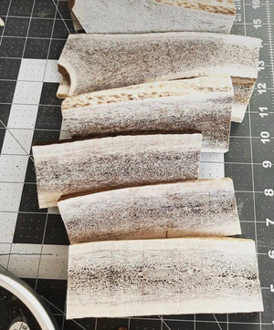 1 lb Elk Antler Wafers for Dogs Naturally Shed Sliced Antler Chews, Marrow Exposed, Long Lasting Dental Treat for All Sizes - Chomper chewz