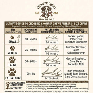 1 lb Small Elk Antler Dog Chews Bulk Pack Naturally Shed Chews for Small Breeds & Puppies, Single Ingredient Dental Treat - Chomper chewz