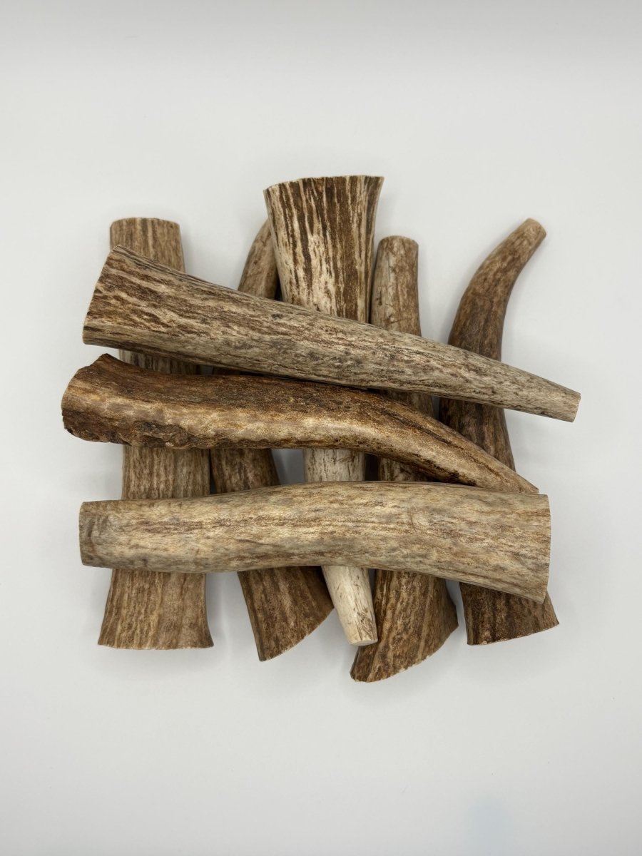 1 lb Small Elk Antler Dog Chews Bulk Pack Naturally Shed Chews for Small Breeds & Puppies, Single Ingredient Dental Treat - Chomper chewz