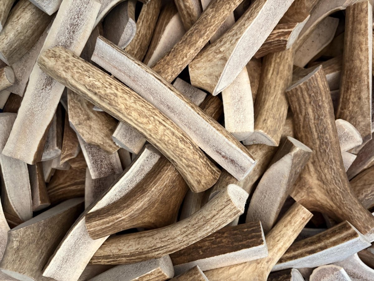 1 pound Medium Split Elk Antlers Chews - Chomper chewz