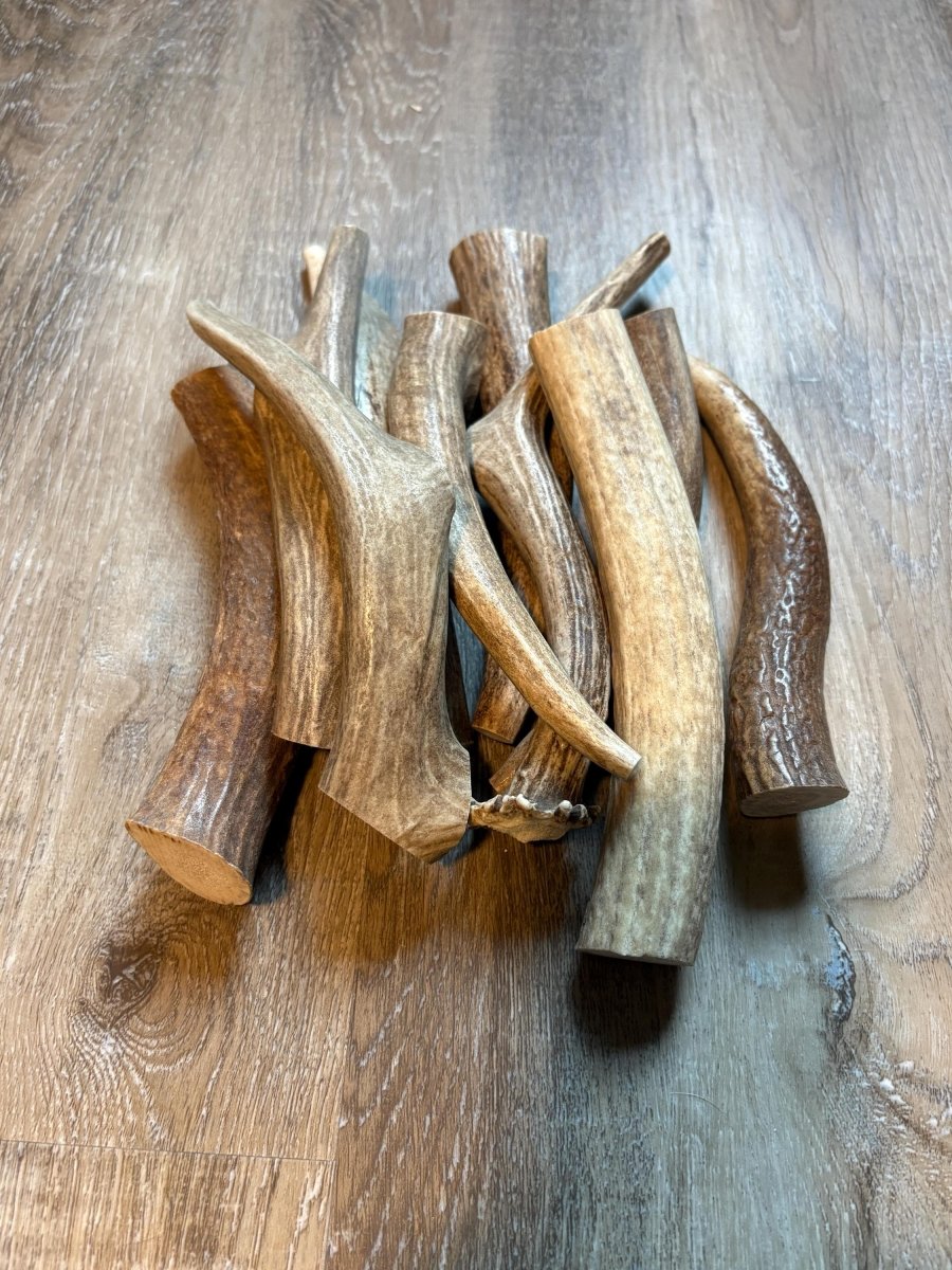 10 Pack Medium Elk & Deer Antler Dog Chews 5"7" Naturally Shed, Long Lasting Single Ingredient Chew for Aggressive Chewers - Chomper chewz