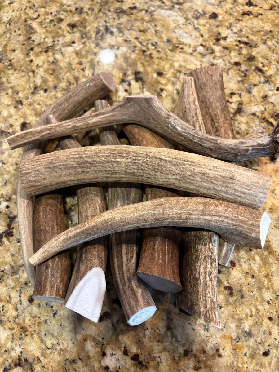 10 Pack Medium Elk & Deer Antler Dog Chews 5"7" Naturally Shed, Long Lasting Single Ingredient Chew for Aggressive Chewers - Chomper chewz