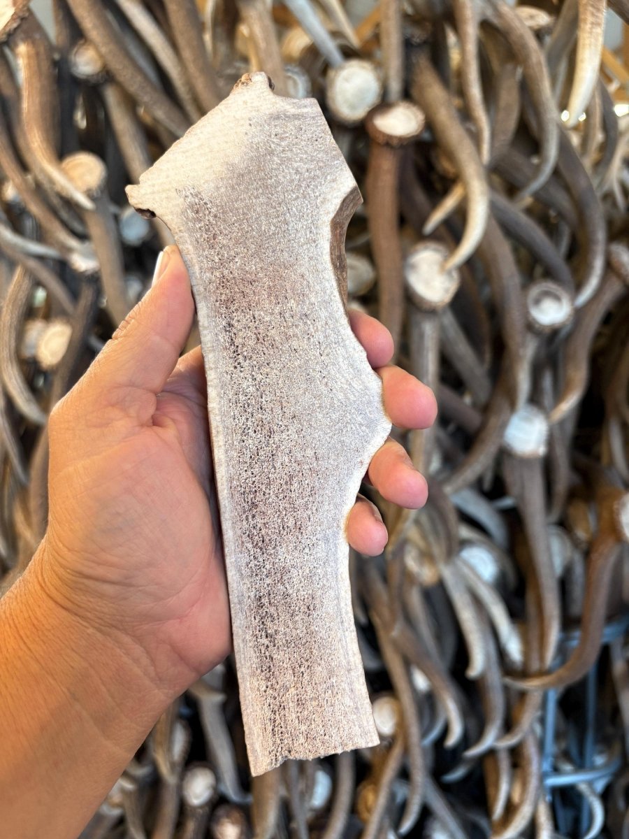 3 Pack Split JUMBO Elk Antler Dog Chew Naturally Shed Marrow Exposed XL Chew for Large Breeds & Aggressive Chewers, Single Ingredient - Chomper chewz