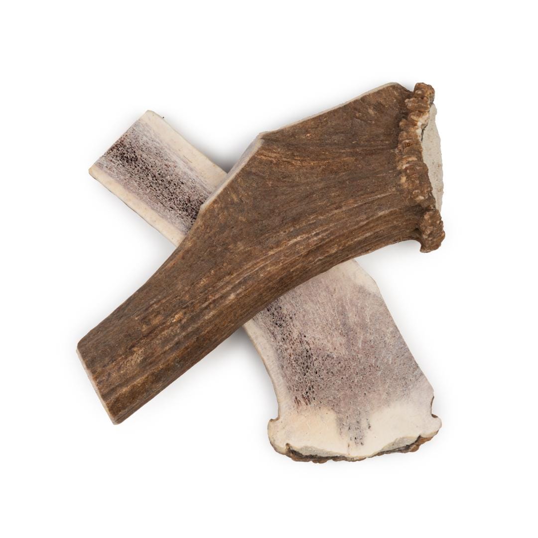 3 Pack Split JUMBO Elk Antler Dog Chew Naturally Shed Marrow Exposed XL Chew for Large Breeds & Aggressive Chewers, Single Ingredient - Chomper chewz