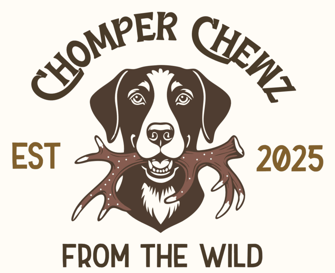 5-Pack Large Whole Elk Antler Chews – Natural Dog Chews | Chomper Chewz - Chomper chewz