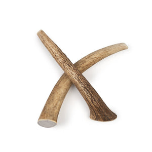 5-Pack Medium Whole Elk Antler Chews – Natural Long-Lasting Dog Chews | Chomper Chewz - Chomper chewz