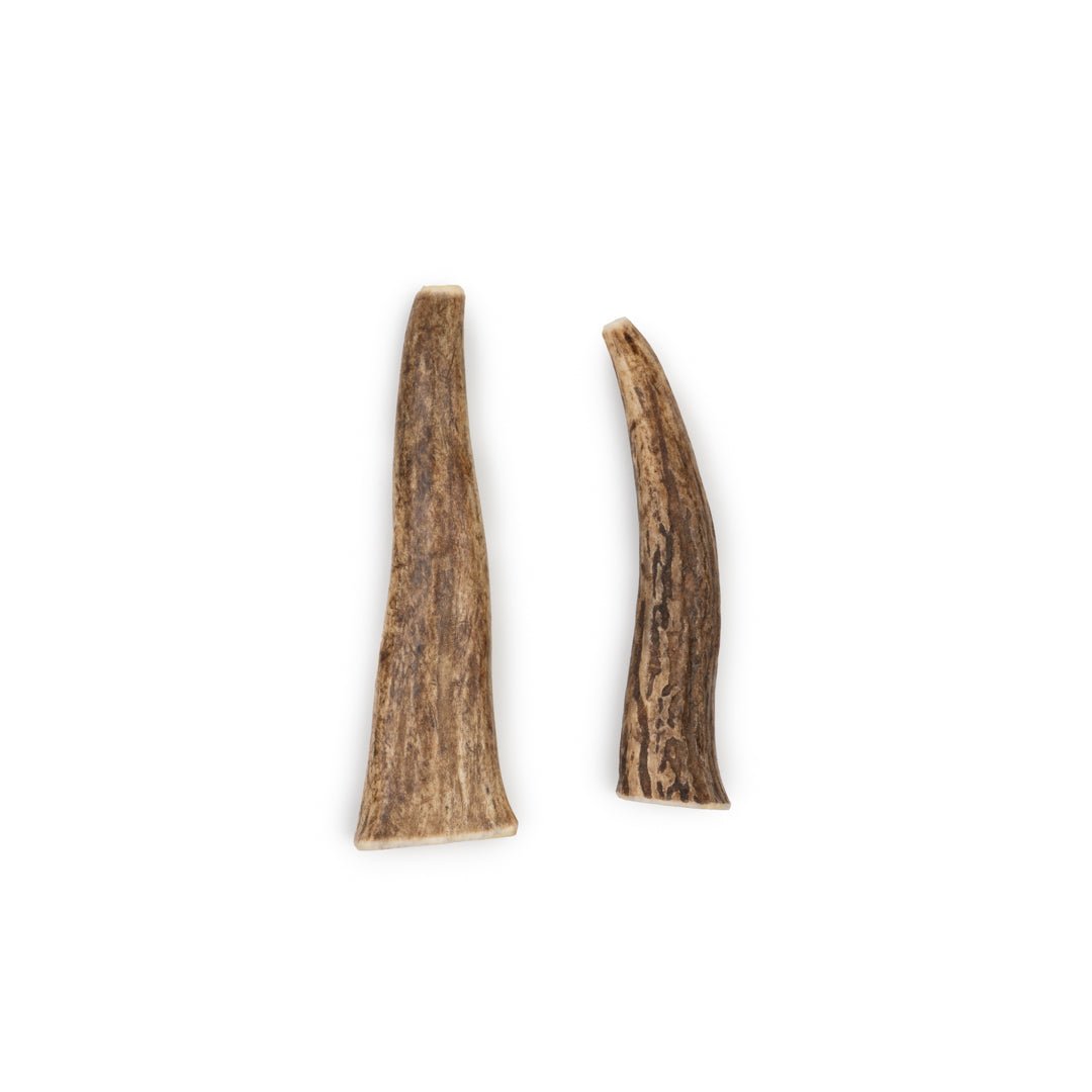 5-Pack Small Whole Elk Antler Chews – Natural Long-Lasting Dog Chews | Chomper Chewz - Chomper chewz