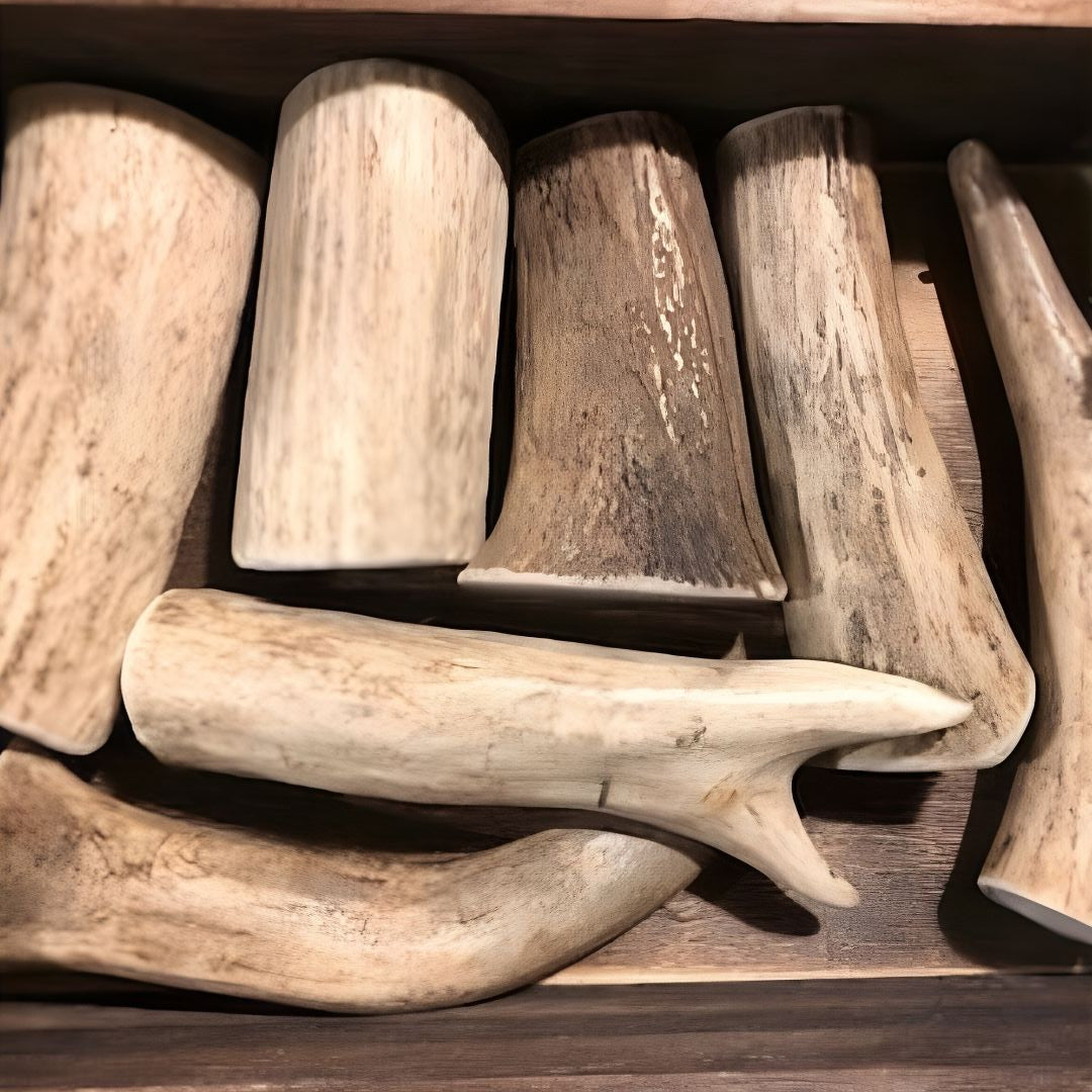 A top-down view of several assorted antler pieces and tips collected inside a dark wooden box.