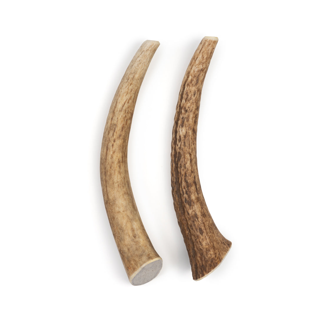 Medium Whole Elk Antler Chew