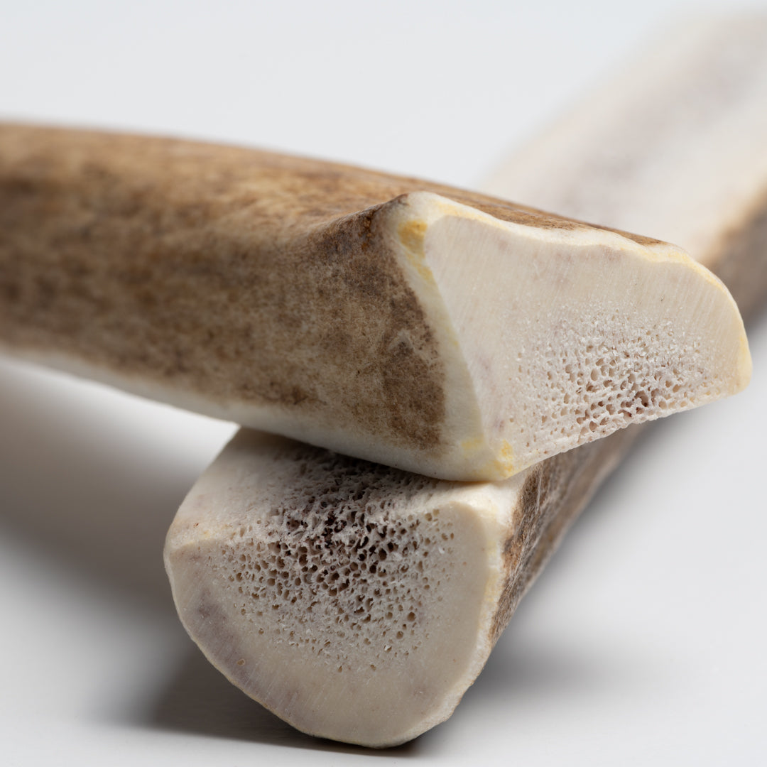 Small Split Elk Antler Chew