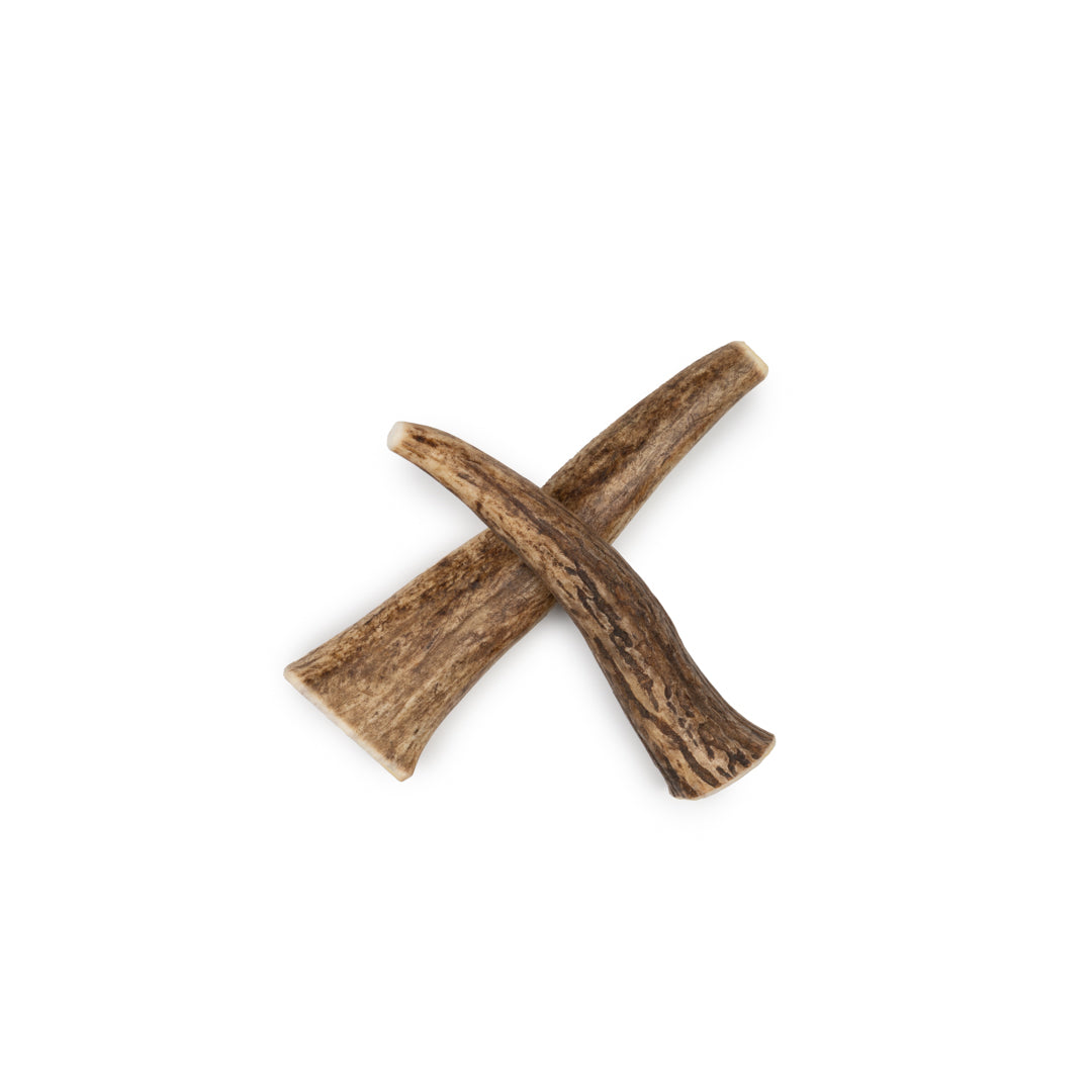 Small Whole Elk Antler Chew