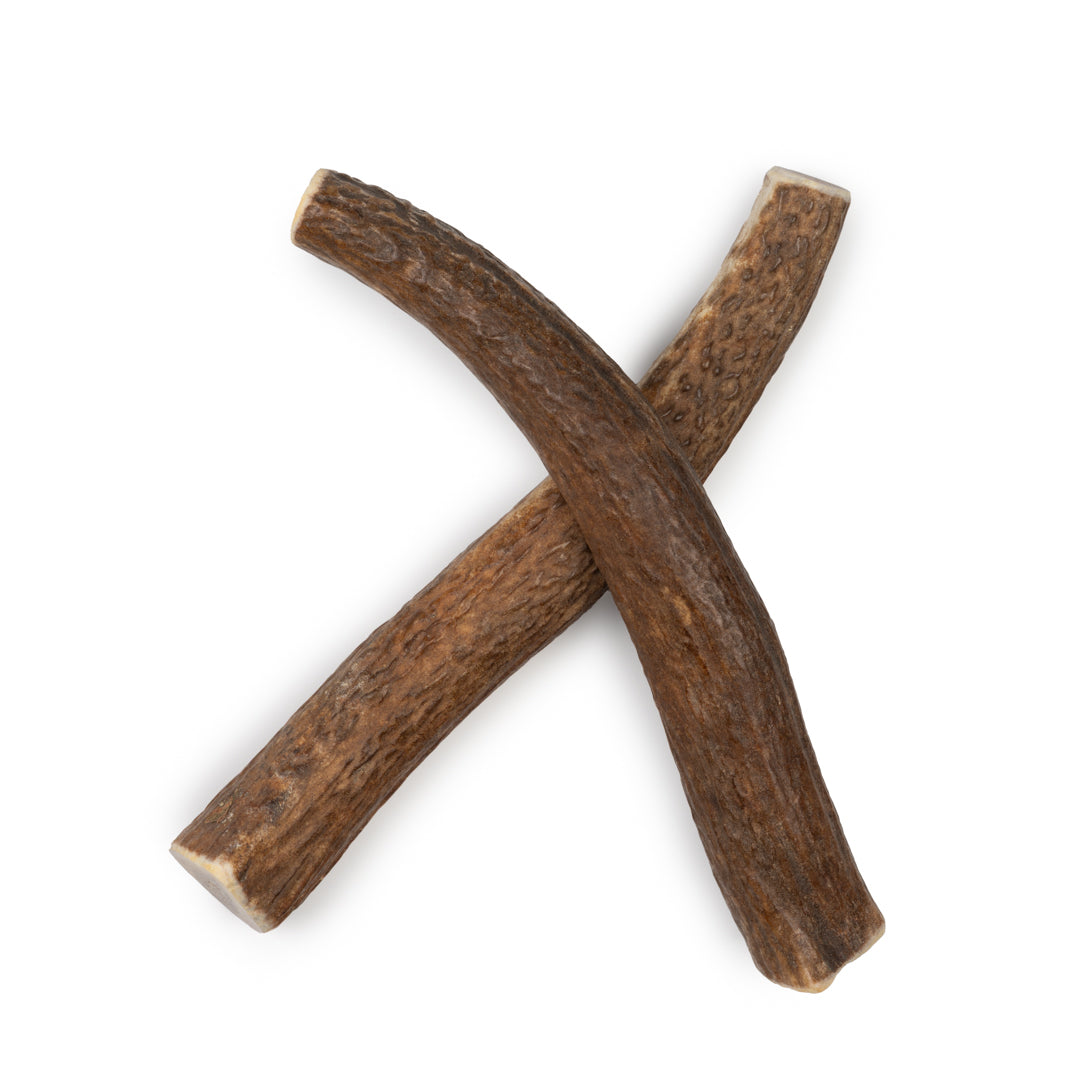 Large Whole Elk Antler Chew