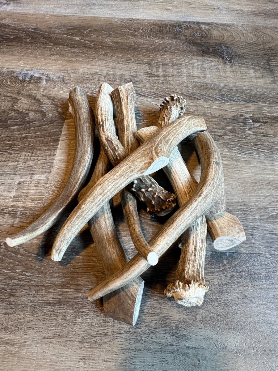 Deer Antler Dog Chews – 1 lb | Chomper Chewz - Chomper chewz