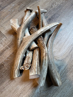 Deer Antler Dog Chews – 1 lb | Chomper Chewz - Chomper chewz