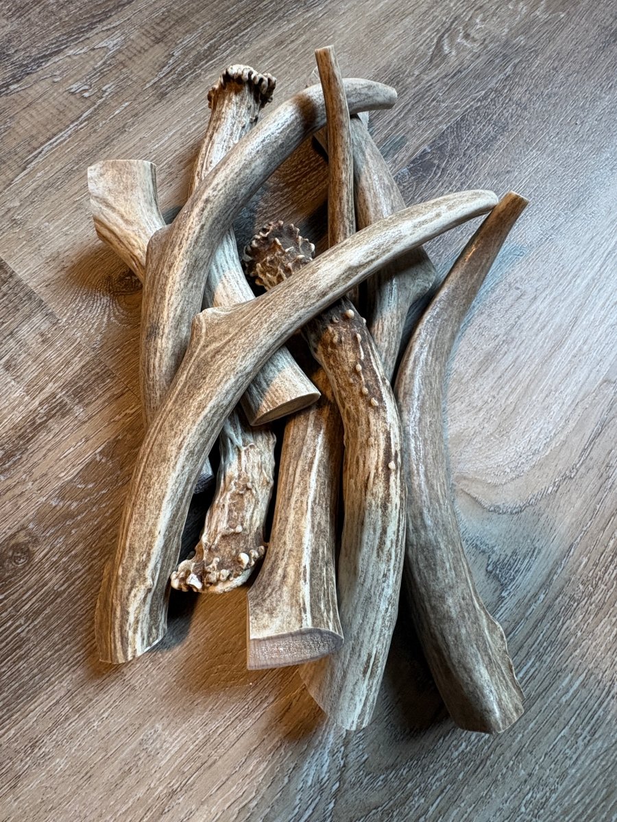 Deer Antler Dog Chews – 1 lb | Chomper Chewz - Chomper chewz