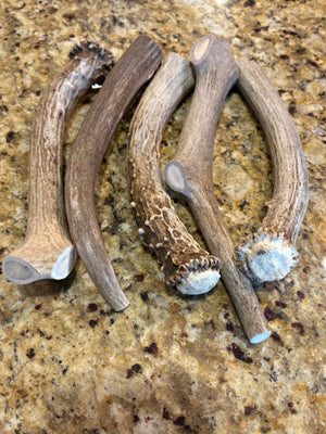Deer Antler Dog Chews – 1 lb | Chomper Chewz - Chomper chewz