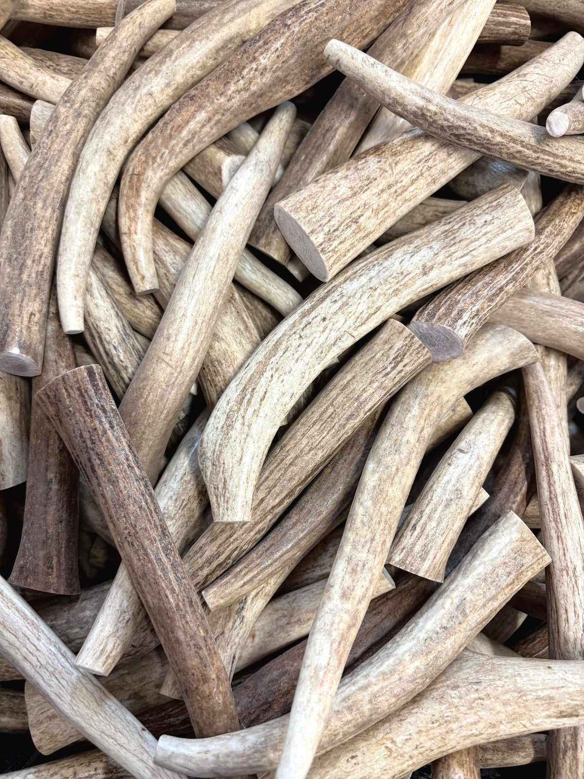 1 lb Small Elk Antler Dog Chews Bulk Pack  Naturally Shed Chews for Small Breeds & Puppies, Single Ingredient Dental Treat