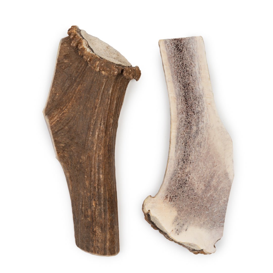 Jumbo Split Elk Antler Dog Chew – Natural Marrow Chew for Extra-Large Dogs - Chomper chewz