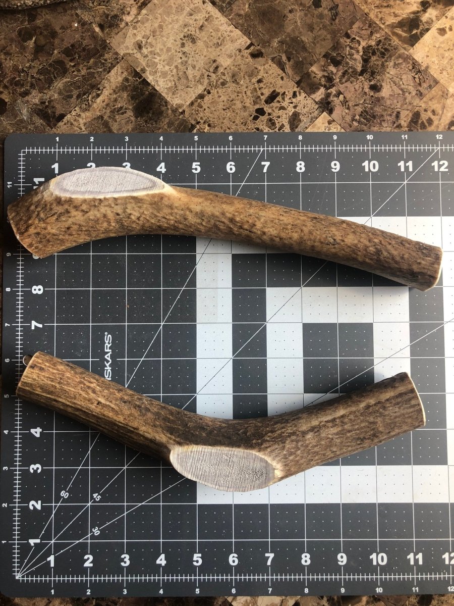 JUMBO Whole Elk Antler Dog Chew Naturally Shed Long Lasting Chew for Large Breeds & Aggressive Chewers, Single Ingredient - Chomper chewz