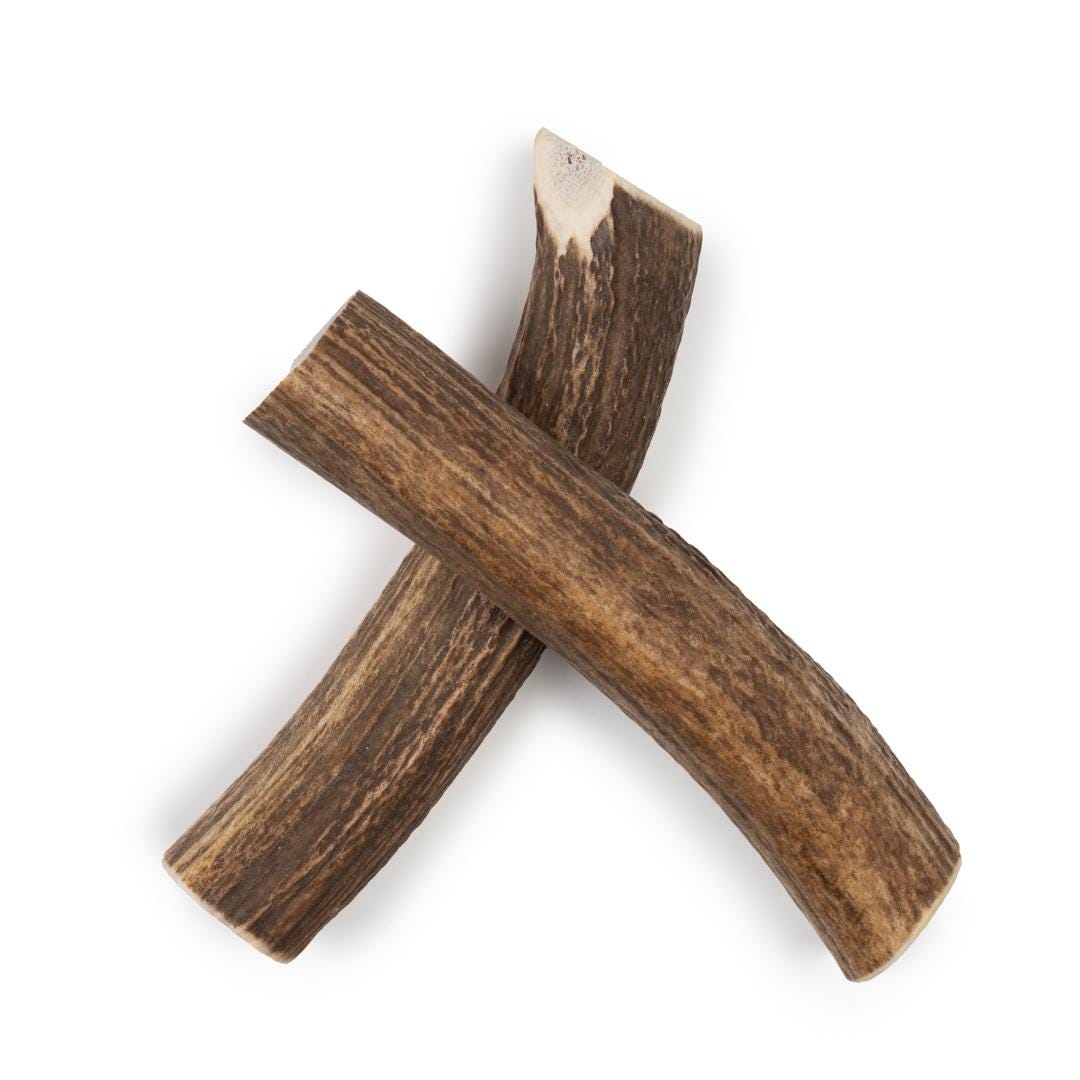 JUMBO Whole Elk Antler Dog Chew Naturally Shed Long Lasting Chew for Large Breeds & Aggressive Chewers, Single Ingredient - Chomper chewz