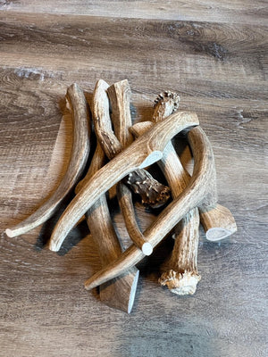 Large Elk & Deer Antler Dog Chews 7-9 inches Naturally Shed Long Lasting Single Ingredient Chew for Big Dogs and Aggressive Chewers - Chomper chewz