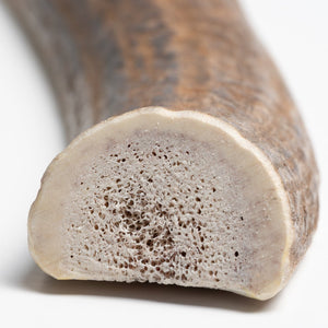 Medium Split Elk Antler Dog Chew – Natural Marrow Chew for Medium Dogs - Chomper chewz