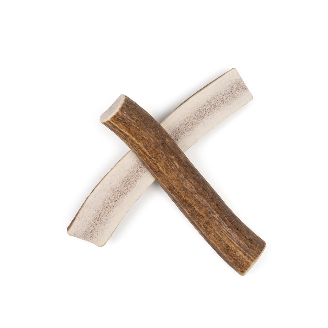 Medium Split Elk Antler Dog Chew – Natural Marrow Chew for Medium Dogs - Chomper chewz