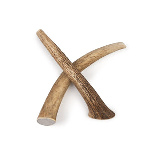 Medium Whole Elk Antler Dog Chews 5 Pack Naturally Shed, Long Lasting Single Ingredient Dental Treat for Aggressive Chewers - Chomper chewz