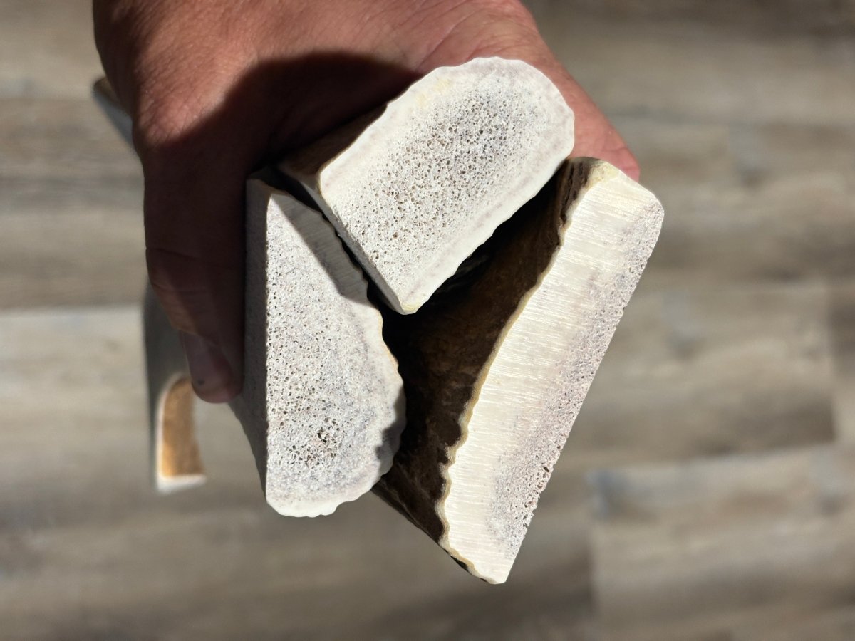 MEGA Split Elk Antler Chew Supreme Premium Quality - Chomper chewz
