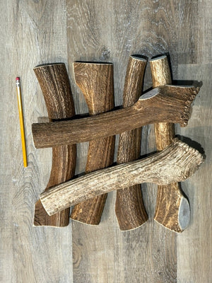 MEGA Split Elk Antler Chew Supreme Premium Quality - Chomper chewz
