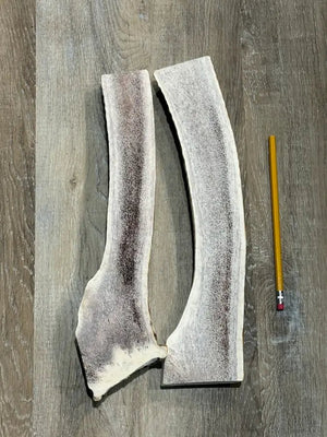 MEGA Split Elk Antler Chew Supreme Premium Quality - Chomper chewz