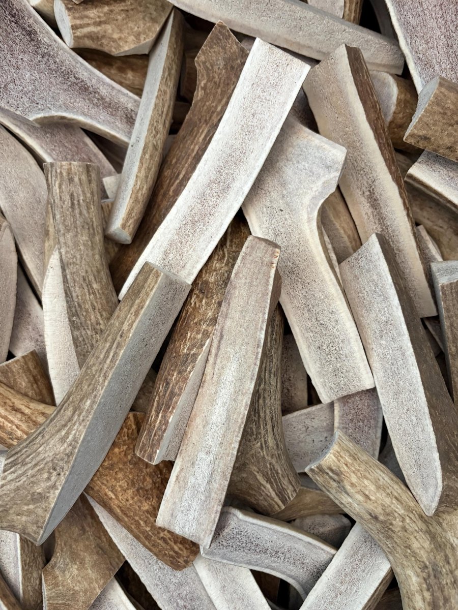 Small Dog Antler Chew Bundle 3 Pack Split Elk Antler Chews for Chihuahua, Yorkie, Frenchie Naturally Shed Single Ingredient - Chomper chewz