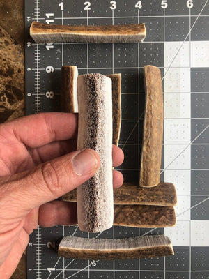 Small Dog Antler Chew Bundle 3 Pack Split Elk Antler Chews for Chihuahua, Yorkie, Frenchie Naturally Shed Single Ingredient - Chomper chewz