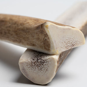 Small Split Elk Antler Dog Chew – Natural Marrow Chew for Small Dogs - Chomper chewz