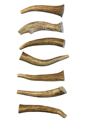 Small Whole Elk Antler Dog Chew – Natural, Long-Lasting Chew for Small Dogs - Chomper chewz