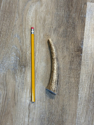 Small Whole Elk Antler Dog Chew – Natural, Long-Lasting Chew for Small Dogs - Chomper chewz